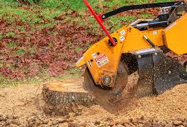 Best Root Management and Removal  in Hillsboro, OH