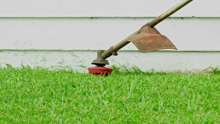 Best Organic Lawn Care Solutions  in Hillsboro, OH