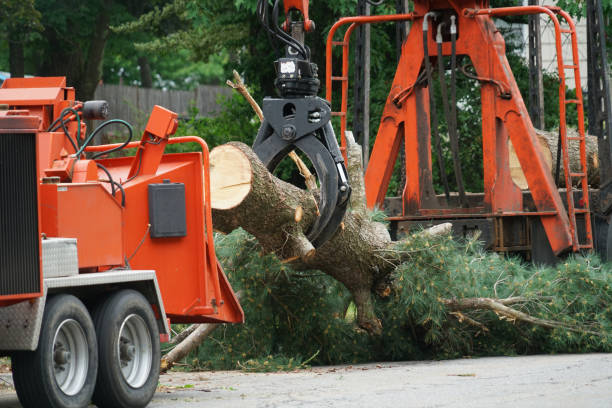 Best Utility Line Clearance  in Hillsboro, OH